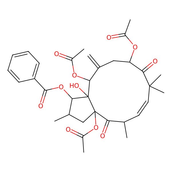 2D Structure of [(1S,2S,3aR,5R,6E,10S,13S,13aS)-3a,10,13-triacetyloxy-13a-hydroxy-2,5,8,8-tetramethyl-12-methylidene-4,9-dioxo-2,3,5,10,11,13-hexahydro-1H-cyclopenta[12]annulen-1-yl] benzoate