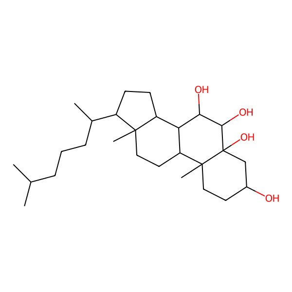 2D Structure of 10,13-Dimethyl-17-(6-methylheptan-2-yl)-1,2,3,4,6,7,8,9,11,12,14,15,16,17-tetradecahydrocyclopenta[a]phenanthrene-3,5,6,7-tetrol