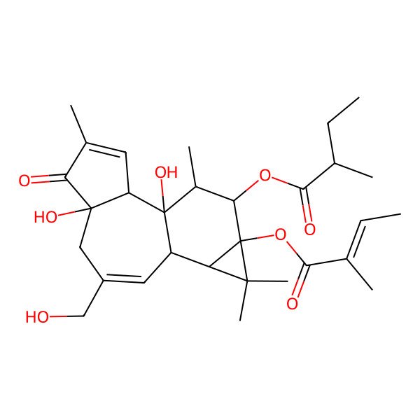 2D Structure of [(1S,2S,6R,10S,11R,13S,14R,15R)-1,6-dihydroxy-8-(hydroxymethyl)-4,12,12,15-tetramethyl-13-[(E)-2-methylbut-2-enoyl]oxy-5-oxo-14-tetracyclo[8.5.0.02,6.011,13]pentadeca-3,8-dienyl] 2-methylbutanoate
