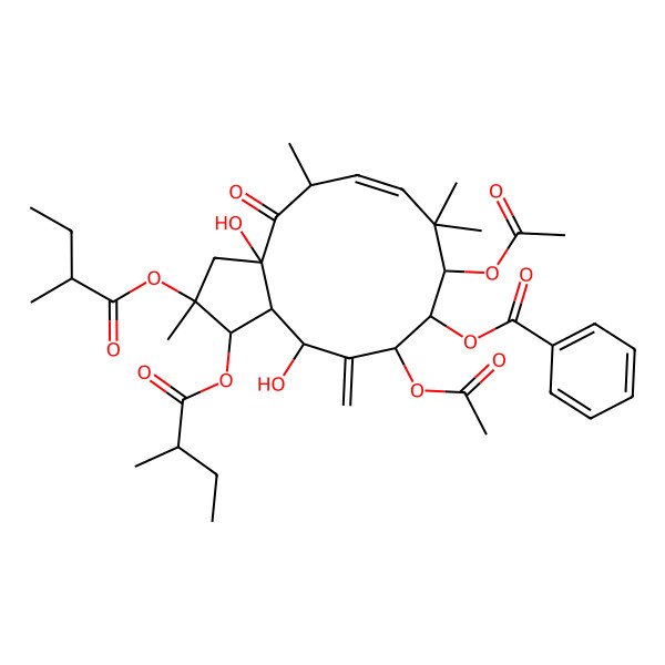 2D Structure of [(1R,2R,3aR,5S,6E,9S,10S,11S,13R,13aS)-9,11-diacetyloxy-3a,13-dihydroxy-2,5,8,8-tetramethyl-1,2-bis[[(2R)-2-methylbutanoyl]oxy]-12-methylidene-4-oxo-1,3,5,9,10,11,13,13a-octahydrocyclopenta[12]annulen-10-yl] benzoate
