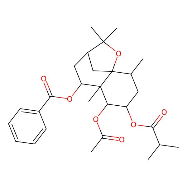 2D Structure of [(1S,2R,4S,5R,6R,7S,9R)-5-acetyloxy-2,6,10,10-tetramethyl-4-(2-methylpropanoyloxy)-11-oxatricyclo[7.2.1.01,6]dodecan-7-yl] benzoate