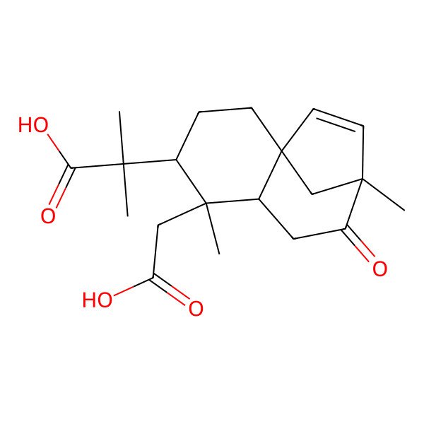 2D Structure of 2-[(1R,4S,5S,6S,9S)-5-(carboxymethyl)-5,9-dimethyl-8-oxo-4-tricyclo[7.2.1.01,6]dodec-10-enyl]-2-methylpropanoic acid