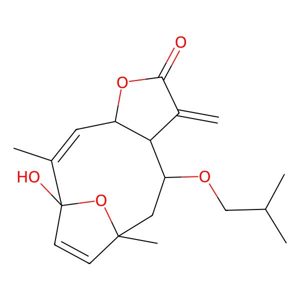 2D Structure of 1-Hydroxy-2,11-dimethyl-7-methylidene-9-(2-methylpropoxy)-5,14-dioxatricyclo[9.2.1.04,8]tetradeca-2,12-dien-6-one