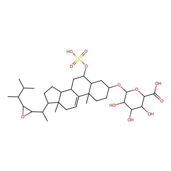 2D Structure of (2S,3S,4S,5R,6R)-6-[[(3S,5S,6S,8S,10S,13S,14S,17R)-10,13-dimethyl-17-[(1S)-1-[(2S,3S)-3-[(2R)-3-methylbutan-2-yl]oxiran-2-yl]ethyl]-6-sulfooxy-2,3,4,5,6,7,8,12,14,15,16,17-dodecahydro-1H-cyclopenta[a]phenanthren-3-yl]oxy]-3,4,5-trihydroxyoxane-2-carboxylic acid
