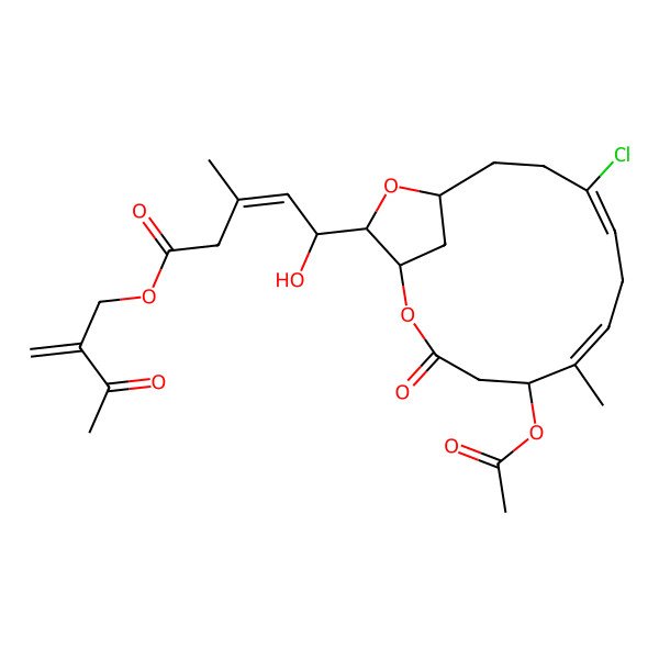 2D Structure of (2-methylidene-3-oxobutyl) (E,5R)-5-[(1R,5R,6E,9Z,13R,15R)-5-acetyloxy-10-chloro-6-methyl-3-oxo-2,14-dioxabicyclo[11.2.1]hexadeca-6,9-dien-15-yl]-5-hydroxy-3-methylpent-3-enoate