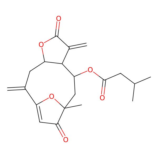 2D Structure of [(4R,8S,9R,11R)-11-methyl-2,7-dimethylidene-6,12-dioxo-5,14-dioxatricyclo[9.2.1.04,8]tetradec-1(13)-en-9-yl] 3-methylbutanoate