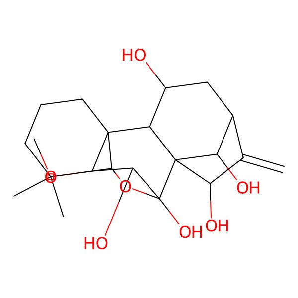 2D Structure of (1R,2S,3S,5S,7R,8R,9S,10S,11R,16S,18R)-16-methoxy-12,12-dimethyl-6-methylidene-17-oxapentacyclo[7.6.2.15,8.01,11.02,8]octadecane-3,7,9,10,18-pentol