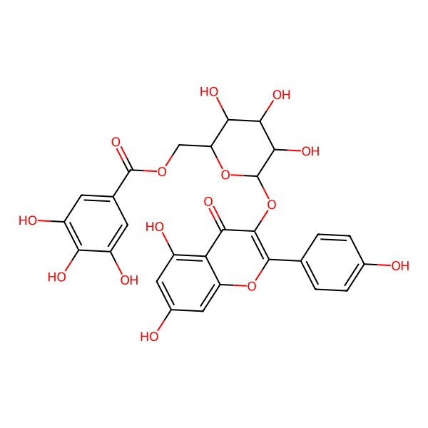 2D Structure of [(2R,3R,4R,5R,6S)-6-[5,7-dihydroxy-2-(4-hydroxyphenyl)-4-oxochromen-3-yl]oxy-3,4,5-trihydroxyoxan-2-yl]methyl 3,4,5-trihydroxybenzoate