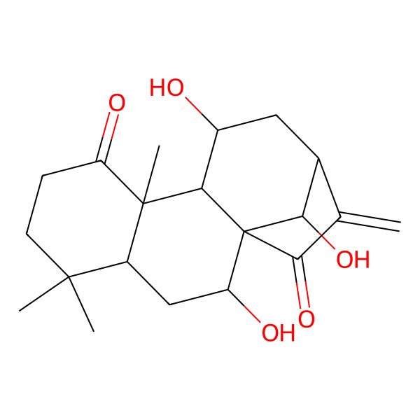 2D Structure of (1R,2S,4R,9R,10S,11S,13S,16R)-2,11,16-trihydroxy-5,5,9-trimethyl-14-methylidenetetracyclo[11.2.1.01,10.04,9]hexadecane-8,15-dione