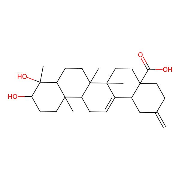 2D Structure of 9,10-Dihydroxy-6a,6b,9,12a-tetramethyl-2-methylidene-1,3,4,5,6,6a,7,8,8a,10,11,12,13,14b-tetradecahydropicene-4a-carboxylic acid