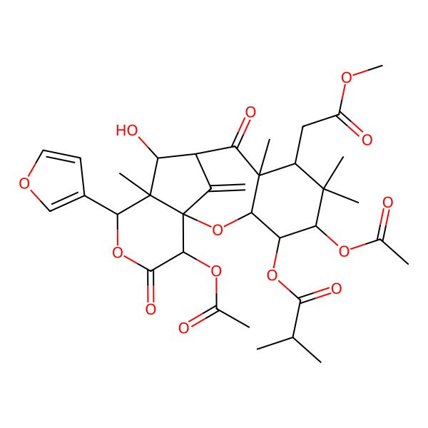 2D Structure of [5,16-Diacetyloxy-13-(furan-3-yl)-11-hydroxy-7-(2-methoxy-2-oxoethyl)-6,6,8,12-tetramethyl-17-methylidene-9,15-dioxo-2,14-dioxatetracyclo[8.6.1.01,12.03,8]heptadecan-4-yl] 2-methylpropanoate