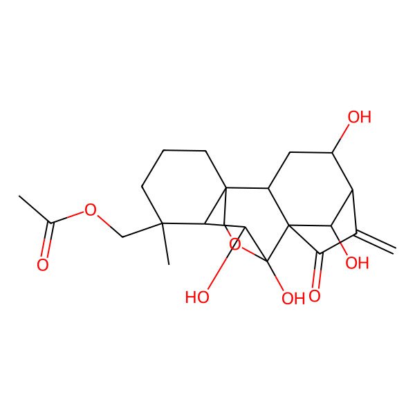 2D Structure of [(1R,2S,4S,5R,8R,9S,10S,11R,12R,18R)-4,9,10,18-tetrahydroxy-12-methyl-6-methylidene-7-oxo-17-oxapentacyclo[7.6.2.15,8.01,11.02,8]octadecan-12-yl]methyl acetate