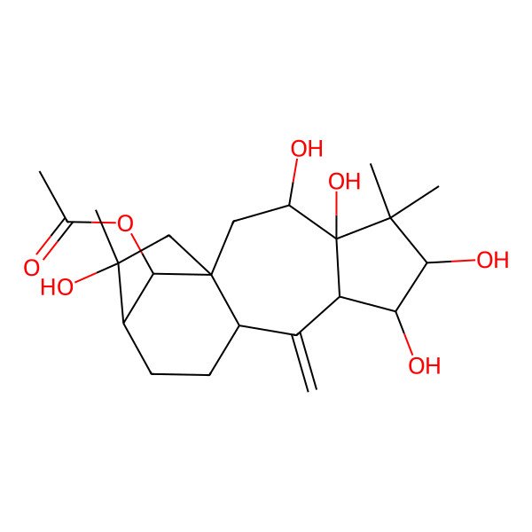 2D Structure of (3,4,6,7,14-Pentahydroxy-5,5,14-trimethyl-9-methylidene-16-tetracyclo[11.2.1.01,10.04,8]hexadecanyl) acetate
