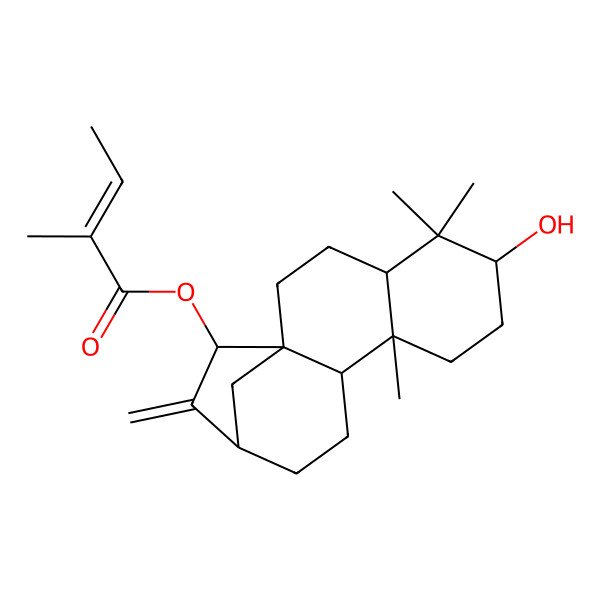 2D Structure of [(1R,4S,6R,9R,10S,13R,15R)-6-hydroxy-5,5,9-trimethyl-14-methylidene-15-tetracyclo[11.2.1.01,10.04,9]hexadecanyl] (Z)-2-methylbut-2-enoate