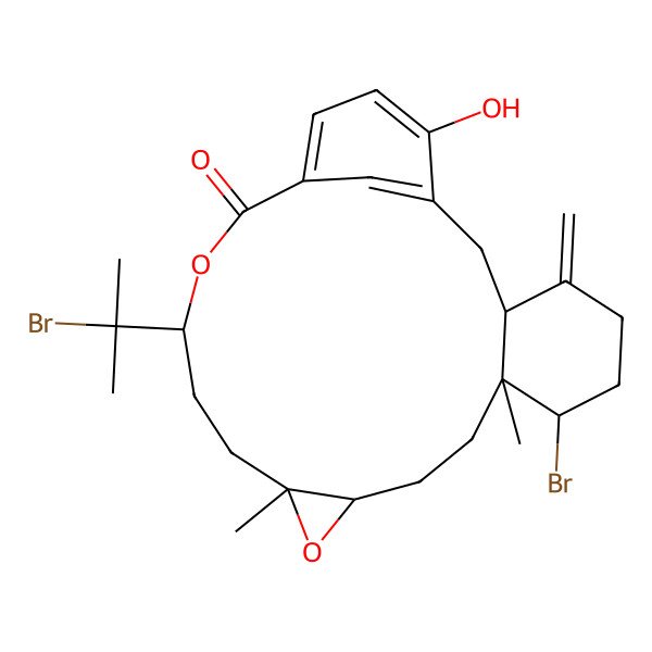 2D Structure of (7S,8S,11S,13S,16S)-7-bromo-16-(2-bromopropan-2-yl)-22-hydroxy-8,13-dimethyl-4-methylidene-12,17-dioxatetracyclo[17.3.1.03,8.011,13]tricosa-1(22),19(23),20-trien-18-one