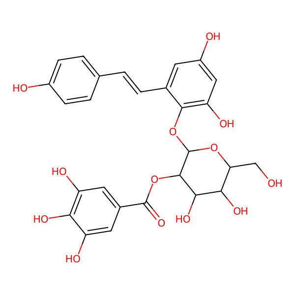 2D Structure of [(2S,3S,4S,5S,6R)-2-[2,4-dihydroxy-6-[(E)-2-(4-hydroxyphenyl)ethenyl]phenoxy]-4,5-dihydroxy-6-(hydroxymethyl)oxan-3-yl] 3,4,5-trihydroxybenzoate
