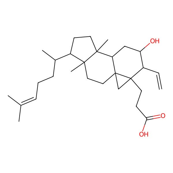 2D Structure of 3-[(1S,4R,5R,8S,9S,11S,12S,13R)-12-ethenyl-11-hydroxy-4,8-dimethyl-5-[(2R)-6-methylhept-5-en-2-yl]-13-tetracyclo[7.5.0.01,13.04,8]tetradecanyl]propanoic acid
