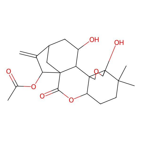 2D Structure of (9,14-Dihydroxy-7,7-dimethyl-17-methylidene-2-oxo-3,10-dioxapentacyclo[14.2.1.01,13.04,12.08,12]nonadecan-18-yl) acetate