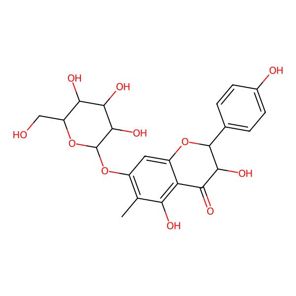 2D Structure of (2R,3R)-3,5-dihydroxy-2-(4-hydroxyphenyl)-6-methyl-7-[(2S,3R,4S,5S,6R)-3,4,5-trihydroxy-6-(hydroxymethyl)oxan-2-yl]oxy-2,3-dihydrochromen-4-one