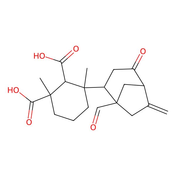2D Structure of (1R,2S,3S)-3-[(1R,2S,5R)-1-formyl-6-methylidene-4-oxo-2-bicyclo[3.2.1]octanyl]-1,3-dimethylcyclohexane-1,2-dicarboxylic acid