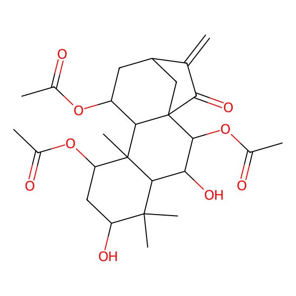 2D Structure of [(1S,2R,3R,4R,6S,8S,9R,10S,11S,13R)-2,8-diacetyloxy-3,6-dihydroxy-5,5,9-trimethyl-14-methylidene-15-oxo-11-tetracyclo[11.2.1.01,10.04,9]hexadecanyl] acetate