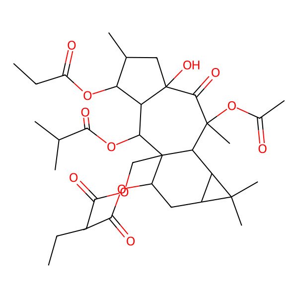 2D Structure of [(1R,2R,3R,4S,5S,7R,9S,10R,11S,13S,15R)-9,15-diacetyloxy-7-hydroxy-5,9,12,12-tetramethyl-2-(2-methylpropanoyloxy)-8-oxo-4-propanoyloxy-1-tetracyclo[8.5.0.03,7.011,13]pentadecanyl]methyl butanoate