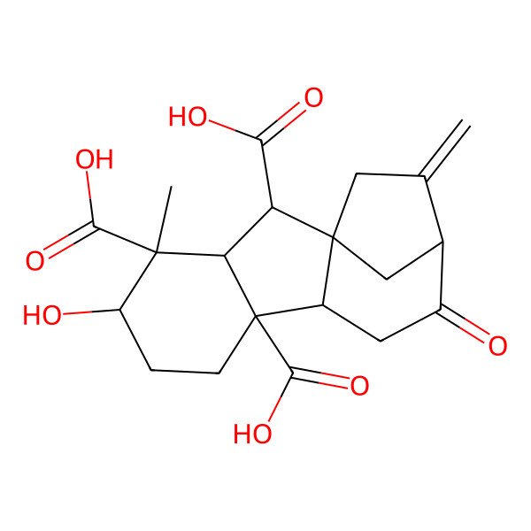 2D Structure of (1R,2S,3S,4S,5S,8R,9R,12R)-5-hydroxy-4-methyl-13-methylidene-11-oxotetracyclo[10.2.1.01,9.03,8]pentadecane-2,4,8-tricarboxylic acid