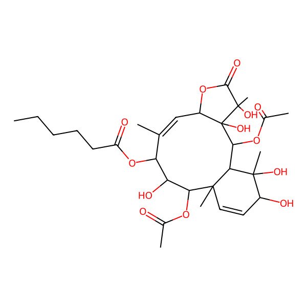 2D Structure of [(1S,2R,3S,4S,7S,8Z,10S,11R,12R,13S,16R,17S)-2,12-diacetyloxy-3,4,11,16,17-pentahydroxy-4,9,13,17-tetramethyl-5-oxo-6-oxatricyclo[11.4.0.03,7]heptadeca-8,14-dien-10-yl] hexanoate