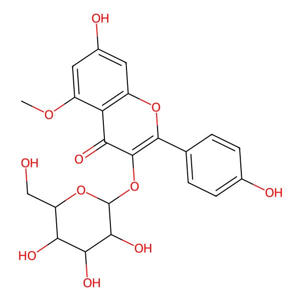 2D Structure of 7-hydroxy-2-(4-hydroxyphenyl)-5-methoxy-3-[(2S,3R,4R,5R,6R)-3,4,5-trihydroxy-6-(hydroxymethyl)oxan-2-yl]oxychromen-4-one