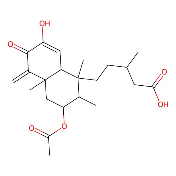 2D Structure of (3R)-5-[(1R,2S,3S,4aS,8aR)-3-acetyloxy-7-hydroxy-1,2,4a-trimethyl-5-methylidene-6-oxo-2,3,4,8a-tetrahydronaphthalen-1-yl]-3-methylpentanoic acid