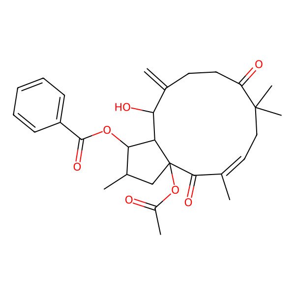 2D Structure of [(1S,2S,3aR,5E,13S,13aS)-3a-acetyloxy-13-hydroxy-2,5,8,8-tetramethyl-12-methylidene-4,9-dioxo-1,2,3,7,10,11,13,13a-octahydrocyclopenta[12]annulen-1-yl] benzoate