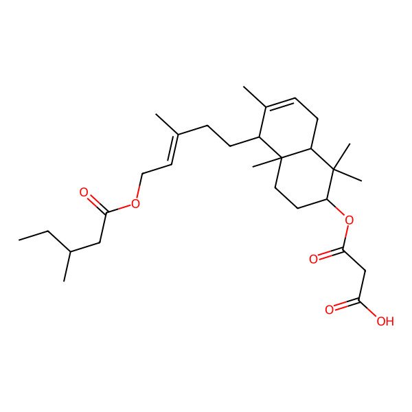 2D Structure of 3-[[(2S,4aS,5R,8aS)-1,1,4a,6-tetramethyl-5-[(E)-3-methyl-5-[(3S)-3-methylpentanoyl]oxypent-3-enyl]-2,3,4,5,8,8a-hexahydronaphthalen-2-yl]oxy]-3-oxopropanoic acid