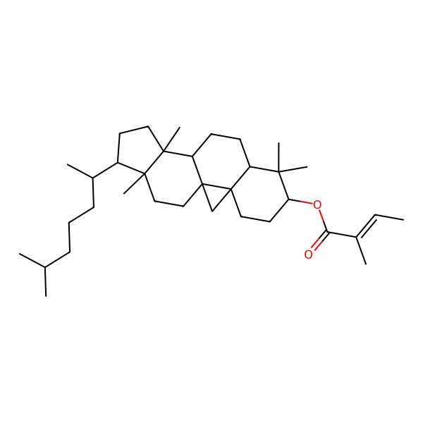 2D Structure of [(1S,3R,6S,8R,11S,12S,15R,16R)-7,7,12,16-tetramethyl-15-[(2R)-6-methylheptan-2-yl]-6-pentacyclo[9.7.0.01,3.03,8.012,16]octadecanyl] (E)-2-methylbut-2-enoate