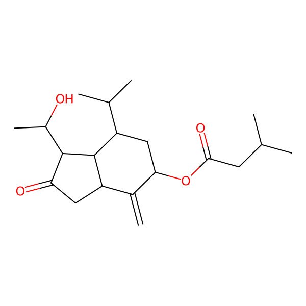 2D Structure of (1S,3aR,5R,7S,7aS)-Octahydro-1-[(1R)-1-hydroxyethyl]-4-methylene-7-(1-methylethyl)-2-oxo-1H-inden-5-yl 3-methylbutanoate