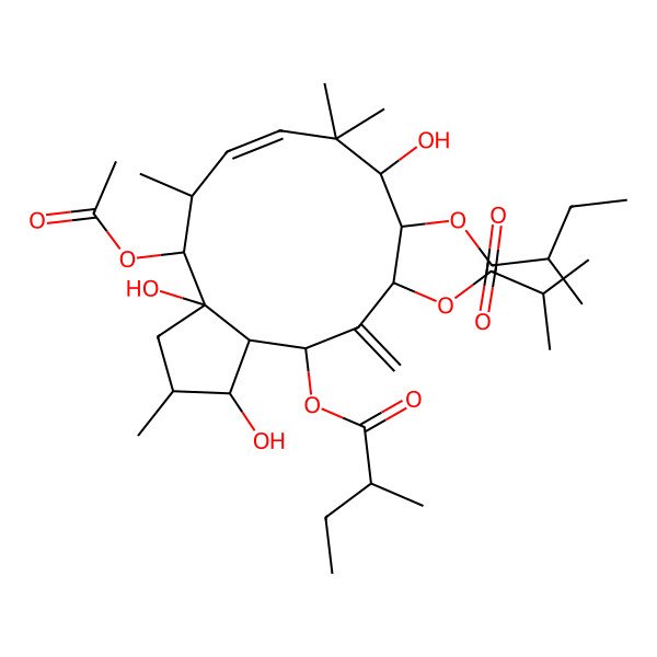 2D Structure of [4-Acetyloxy-1,3a,9-trihydroxy-2,5,8,8-tetramethyl-13-(2-methylbutanoyloxy)-12-methylidene-11-(2-methylpropanoyloxy)-1,2,3,4,5,9,10,11,13,13a-decahydrocyclopenta[12]annulen-10-yl] 2-methylbutanoate
