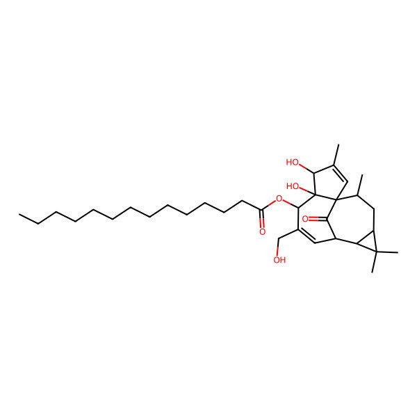 2D Structure of [4,5-Dihydroxy-7-(hydroxymethyl)-3,11,11,14-tetramethyl-15-oxo-6-tetracyclo[7.5.1.01,5.010,12]pentadeca-2,7-dienyl] tetradecanoate