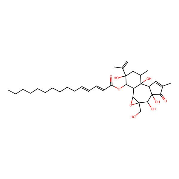 2D Structure of [(1R,2S,4R,5S,6S,10S,11R,12R,14R,15R)-5,6,11,14-tetrahydroxy-4-(hydroxymethyl)-8,12-dimethyl-7-oxo-14-prop-1-en-2-yl-3-oxatetracyclo[9.4.0.02,4.06,10]pentadec-8-en-15-yl] (2E,4E)-pentadeca-2,4-dienoate
