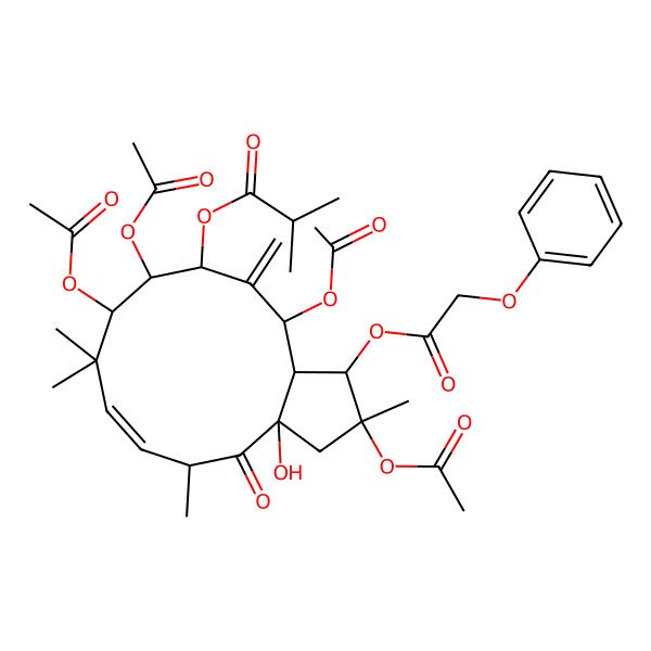 2D Structure of [(1R,2R,3aR,5S,6E,9S,10S,11S,13R,13aS)-2,9,10,13-tetraacetyloxy-3a-hydroxy-2,5,8,8-tetramethyl-12-methylidene-4-oxo-1-(2-phenoxyacetyl)oxy-1,3,5,9,10,11,13,13a-octahydrocyclopenta[12]annulen-11-yl] 2-methylpropanoate