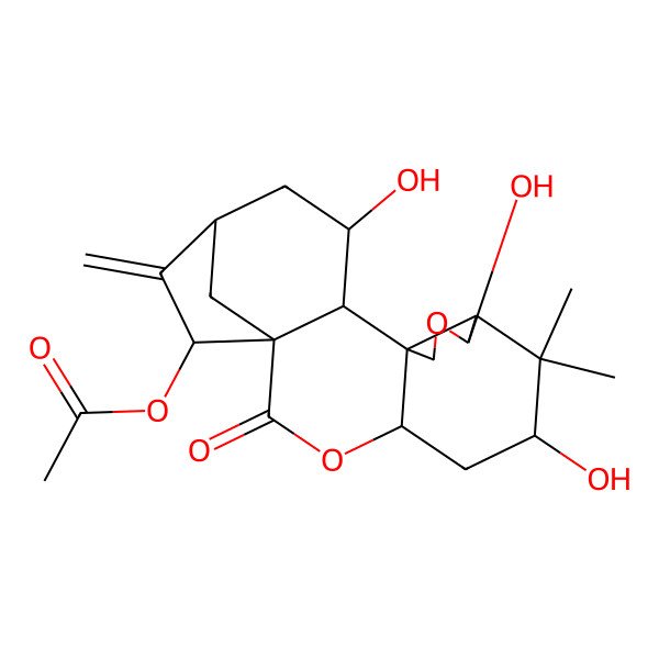2D Structure of (6,9,14-Trihydroxy-7,7-dimethyl-17-methylidene-2-oxo-3,10-dioxapentacyclo[14.2.1.01,13.04,12.08,12]nonadecan-18-yl) acetate
