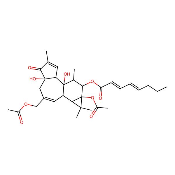 2D Structure of [(1S,2S,6R,10S,11R,13S,14R,15R)-13-acetyloxy-8-(acetyloxymethyl)-1,6-dihydroxy-4,12,12,15-tetramethyl-5-oxo-14-tetracyclo[8.5.0.02,6.011,13]pentadeca-3,8-dienyl] (2Z,4E)-octa-2,4-dienoate
