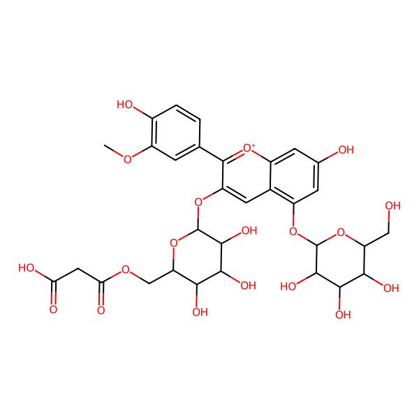 2D Structure of 3-oxo-3-[[(2R,3R,4R,5S,6S)-3,4,5-trihydroxy-6-[7-hydroxy-2-(4-hydroxy-3-methoxyphenyl)-5-[(2S,3R,4S,5R,6R)-3,4,5-trihydroxy-6-(hydroxymethyl)oxan-2-yl]oxychromenylium-3-yl]oxyoxan-2-yl]methoxy]propanoic acid