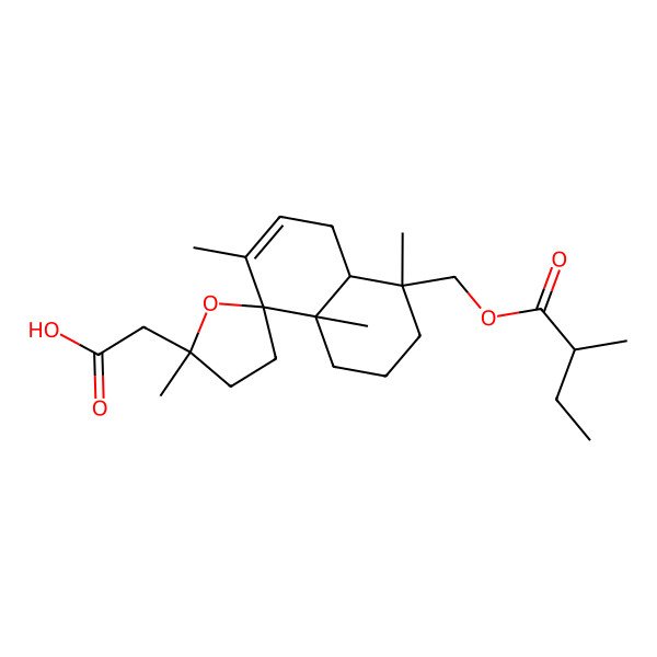2D Structure of 2-[(2'S,4R,4aS,8R,8aS)-2',4,7,8a-tetramethyl-4-[[(2S)-2-methylbutanoyl]oxymethyl]spiro[2,3,4a,5-tetrahydro-1H-naphthalene-8,5'-oxolane]-2'-yl]acetic acid