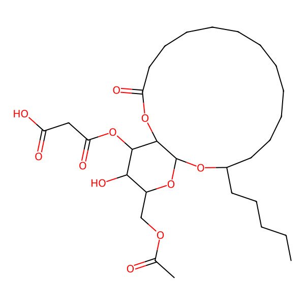 2D Structure of 3-[[19-(Acetyloxymethyl)-20-hydroxy-3-oxo-15-pentyl-2,16,18-trioxabicyclo[15.4.0]henicosan-21-yl]oxy]-3-oxopropanoic acid