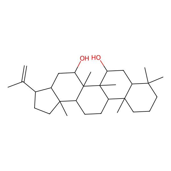 2D Structure of 5a,5b,8,8,11a,13b-Hexamethyl-3-prop-1-en-2-yl-1,2,3,3a,4,5,6,7,7a,9,10,11,11b,12,13,13a-hexadecahydrocyclopenta[a]chrysene-5,6-diol