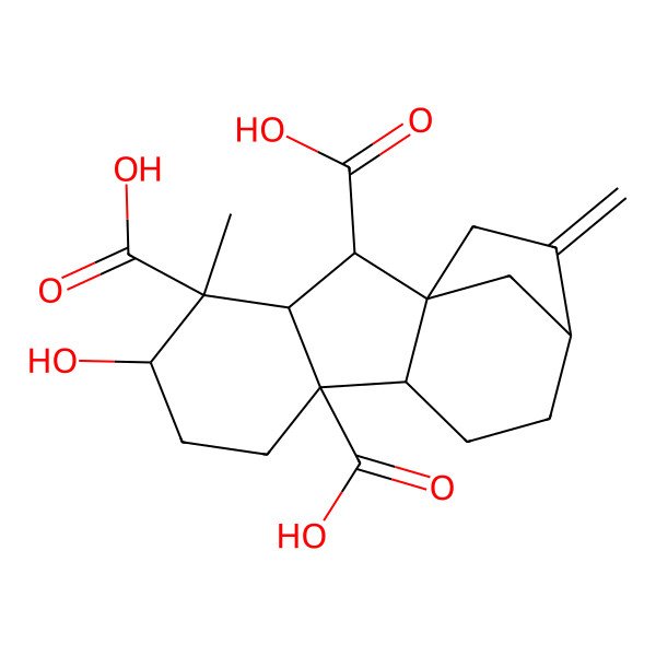 2D Structure of Gibberellin A13