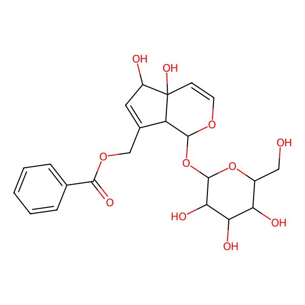 2D Structure of Globularifolin