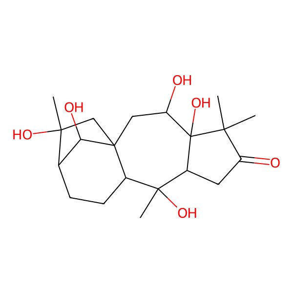2D Structure of Grayanotoxin V