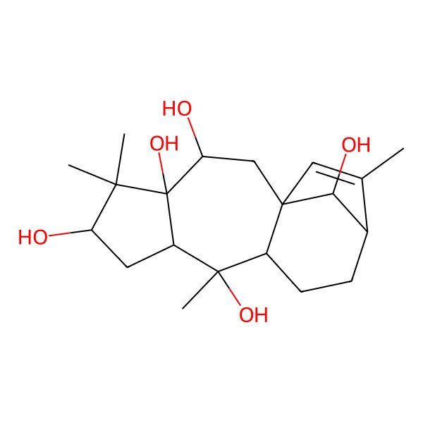 2D Structure of Grayanotoxin VI
