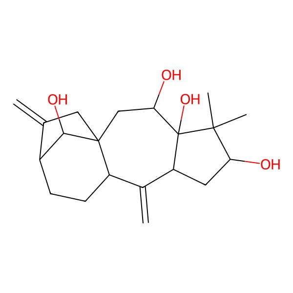 2D Structure of Grayanotoxin VIII