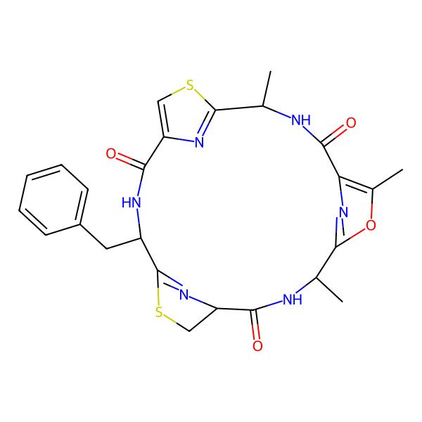 2D Structure of Hapalocyclamide
